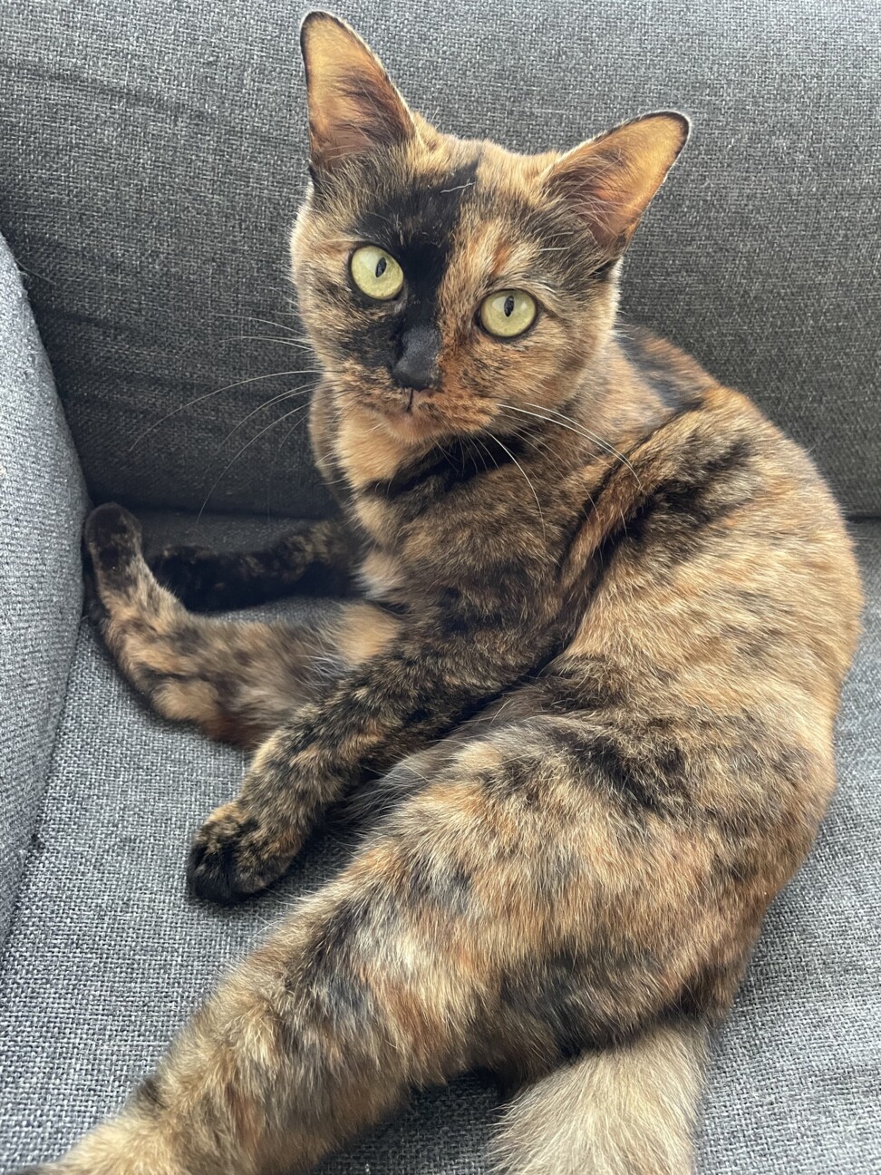 アンネとモッピ