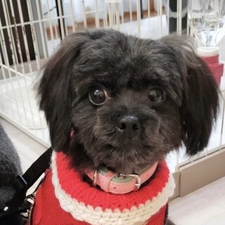 ボール遊びが大好き♡ゆっくり仲良くなって遊んでね