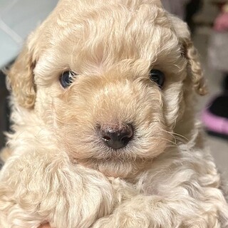 ＊面談応募締め切りました！！