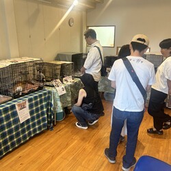 orangeの猫たちの譲渡会in大倉山 サムネイル3