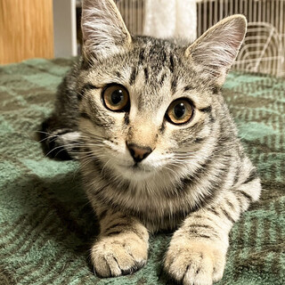 かまってほしいめっちゃ可愛い女子❤️薫