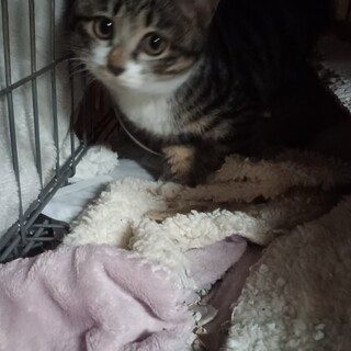 センター引出し、少しどんくさい3ヶ月女子