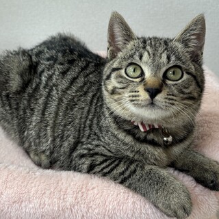 まん丸顔の兄妹たち・星陽(せお)くん