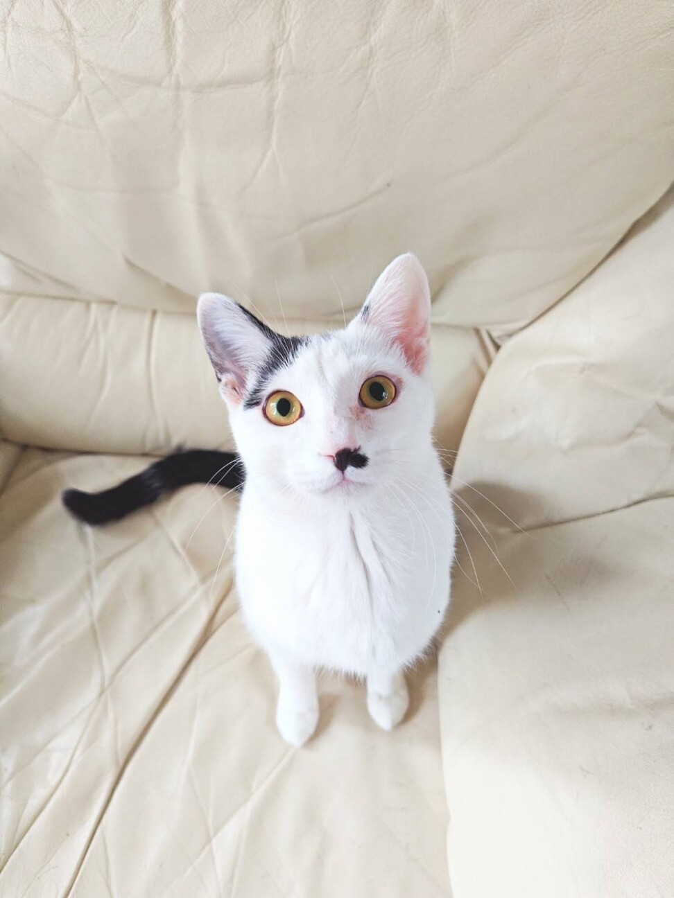 大人しくて甘えん坊な女の子♡リネットちゃん サムネイル3