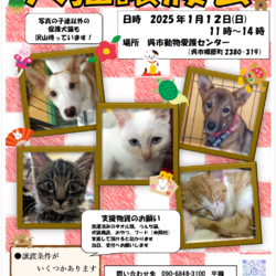 犬猫譲渡会