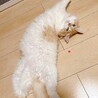 なつ