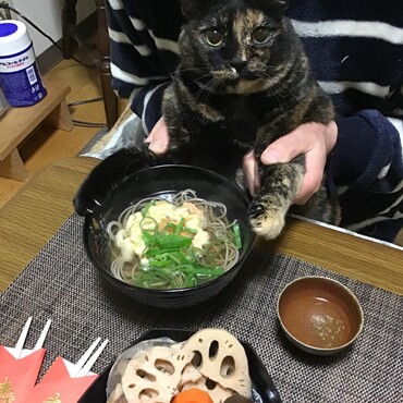今年もよろしく。オヅノちゃん、痛い？痛いのはパパのの財布ね？⁉️
