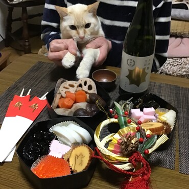 おづのくん、同じ立場になったね。酒を汲みかわして憂さ晴らし、しようぜ！