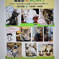 みにみゅう 里親&預かり 募集会