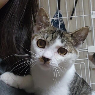 隠れハート柄あり！？ちいくん