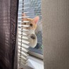 ずうくう