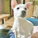 ♡シャイだけど甘えん坊の小柄な男子♡ミューくん