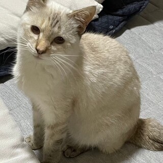 譲渡会にて里親様決定しました！