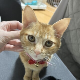 好奇心旺盛でチャレンジャー♡ポテコちゃん