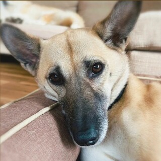 奇跡の子☆ルチア