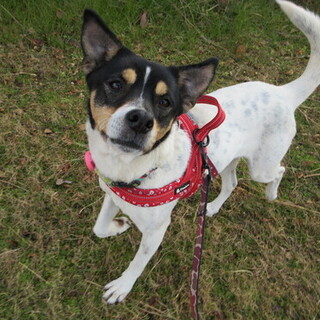 初めはシャイだったけど、今は食いしん坊の甘えたさん