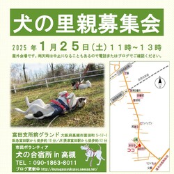 「犬の合宿所in高槻」の里親募集会