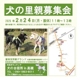 「犬の合宿所in高槻」の里親募集会