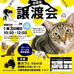 ねこカフェin小さな譲渡会