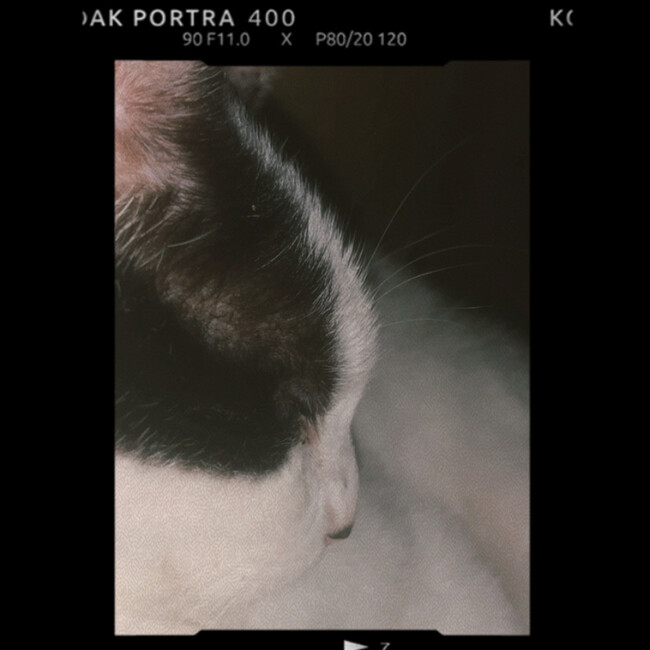 Yutaka515のカバー写真