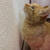 一時停止中 サムネイル2