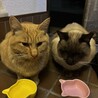 一時停止中 サムネイル3