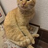 一時停止中 サムネイル4
