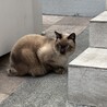 一時停止中 サムネイル5