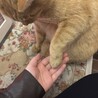 一時停止中 サムネイル6
