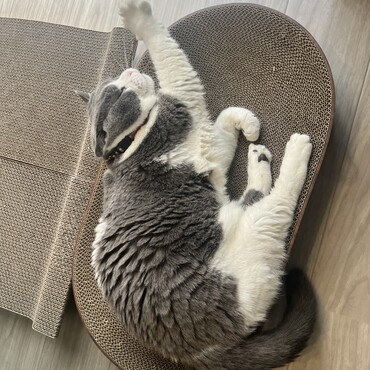 の写真