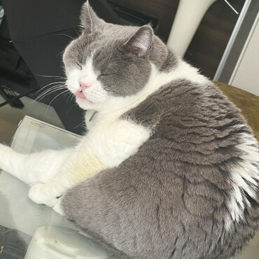 の写真