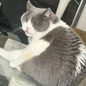 の写真