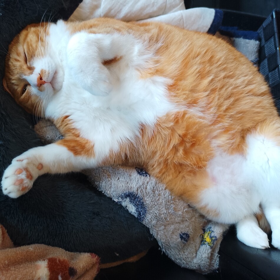 くまがやのカバー写真