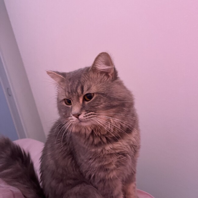 のーみ1のカバー写真