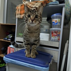 「天と空　生後9ヶ月」サムネイル2