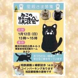 保護ねこ譲渡会in横浜市旭区 サムネイル1