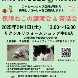 保護ねこの譲渡会＆茶話会 in 横浜市緑区