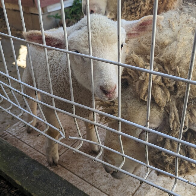 みりんKCのカバー写真