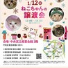 【1/12東日本橋】ハンサムオッドアイ♡モチくん サムネイル7