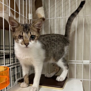 ハンディに負けない甘えん坊⭐️チカラ