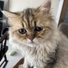 みんと