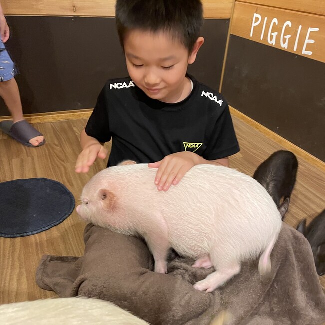 Cyancao86のカバー写真