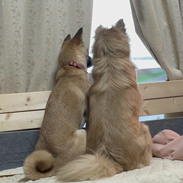 仲良し