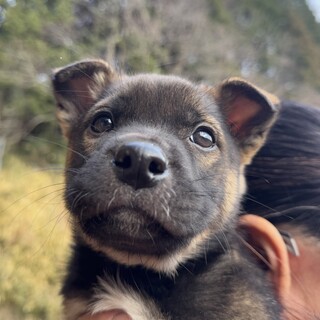 募集一時停止中です