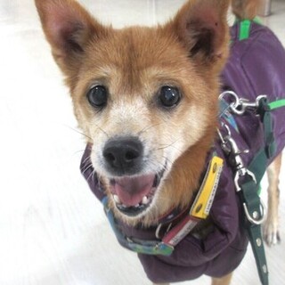 健康優良児の14歳。元気で可愛い「まこちゃん」