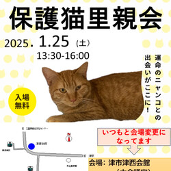 保護猫里親会in津西会館