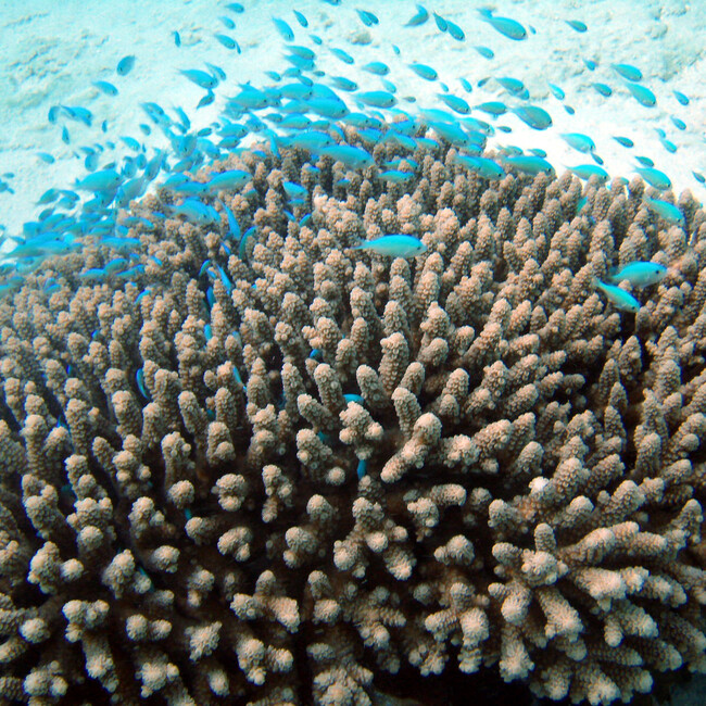 nabettiyのカバー写真