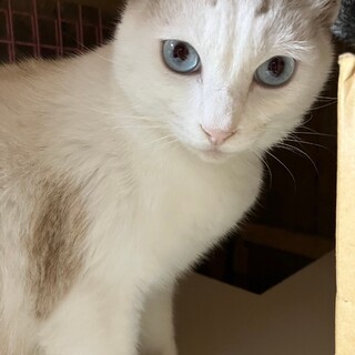 募集一時停止します。