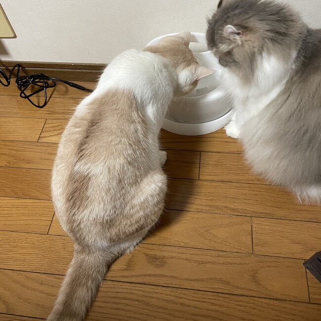 もあるくのカバー写真