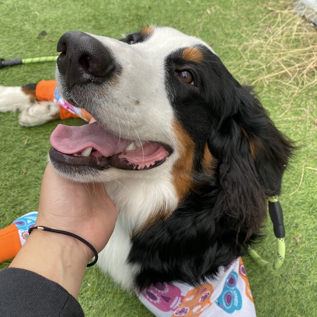 みさあみさのカバー写真